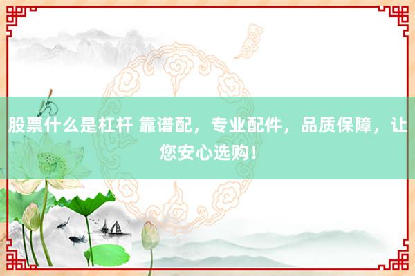 股票什么是杠杆 靠谱配，专业配件，品质保障，让您安心选购！