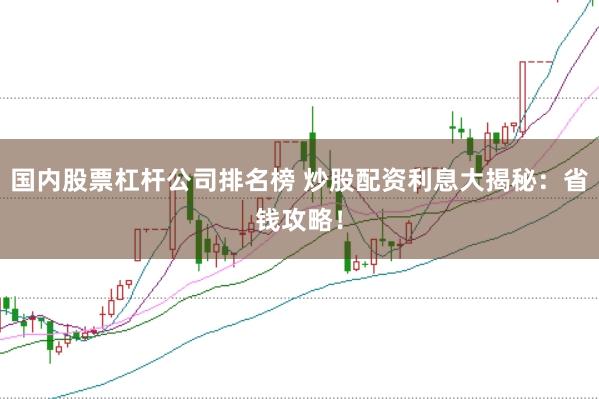 国内股票杠杆公司排名榜 炒股配资利息大揭秘：省钱攻略！
