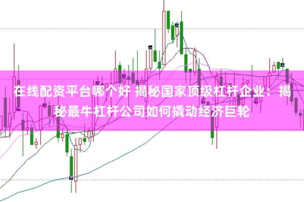 在线配资平台哪个好 揭秘国家顶级杠杆企业：揭秘最牛杠杆公司如何撬动经济巨轮
