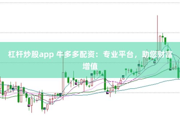 杠杆炒股app 牛多多配资：专业平台，助您财富增值
