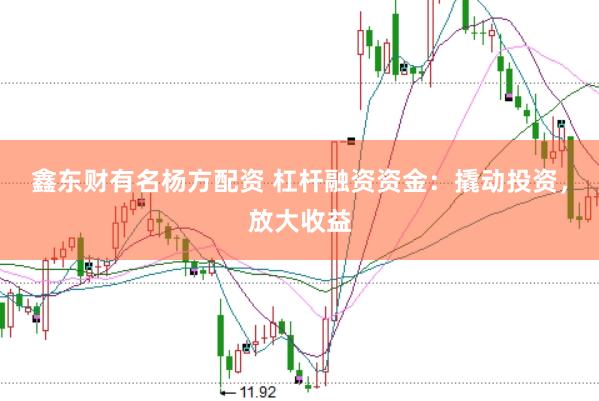 鑫东财有名杨方配资 杠杆融资资金：撬动投资，放大收益