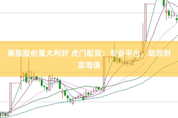 黑猫股份重大利好 虎门配资：专业平台，助您财富增值