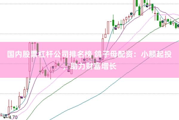 国内股票杠杆公司排名榜 鸽子母配资：小额起投，助力财富增长