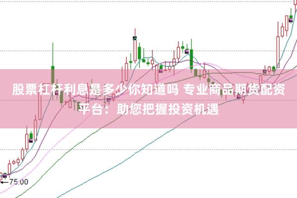 股票杠杆利息是多少你知道吗 专业商品期货配资平台：助您把握投资机遇