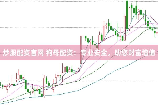 炒股配资官网 狗母配资：专业安全，助您财富增值