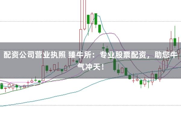 配资公司营业执照 臻牛所：专业股票配资，助您牛气冲天！