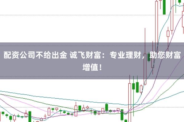 配资公司不给出金 诚飞财富：专业理财，助您财富增值！