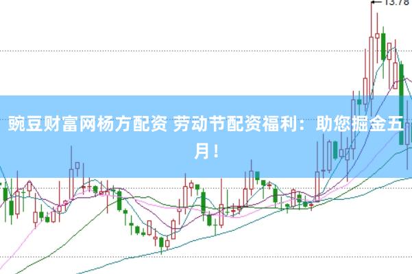 豌豆财富网杨方配资 劳动节配资福利：助您掘金五月！