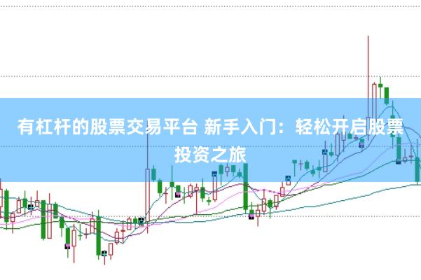 有杠杆的股票交易平台 新手入门：轻松开启股票投资之旅