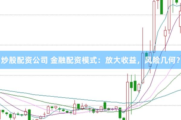 炒股配资公司 金融配资模式：放大收益，风险几何？