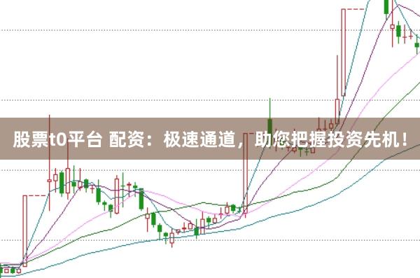 股票t0平台 配资：极速通道，助您把握投资先机！