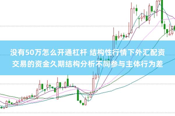 没有50万怎么开通杠杆 结构性行情下外汇配资交易的资金久期结构分析不同参与主体行为差