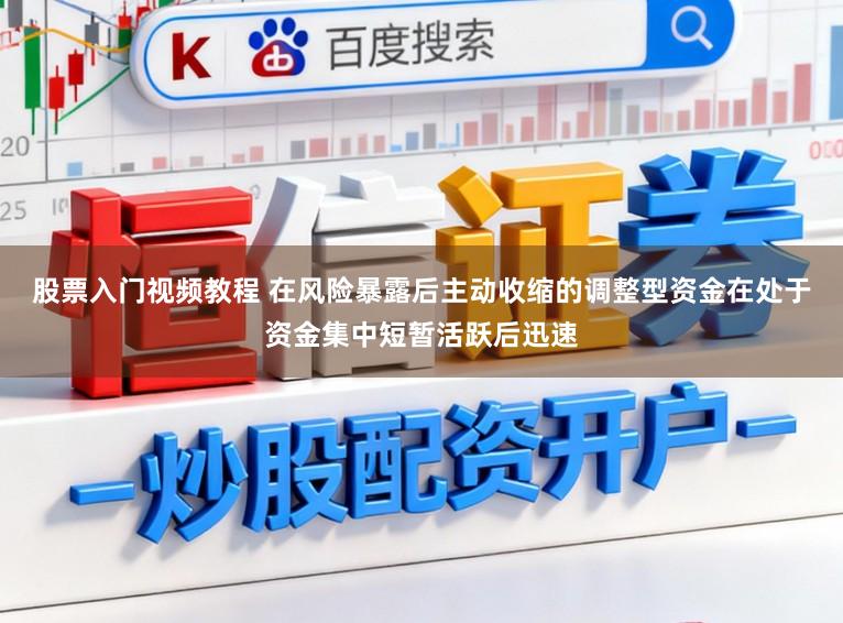 股票入门视频教程 在风险暴露后主动收缩的调整型资金在处于资金集中短暂活跃后迅速