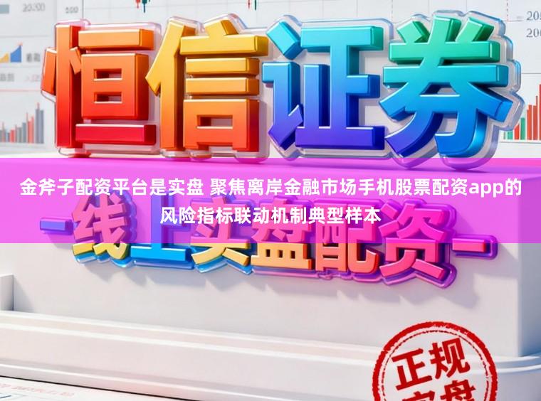 金斧子配资平台是实盘 聚焦离岸金融市场手机股票配资app的风险指标联动机制典型样本